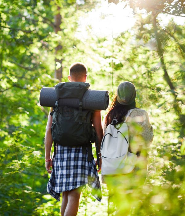 Back view of young couple with backpacks walking along trees in natural environment